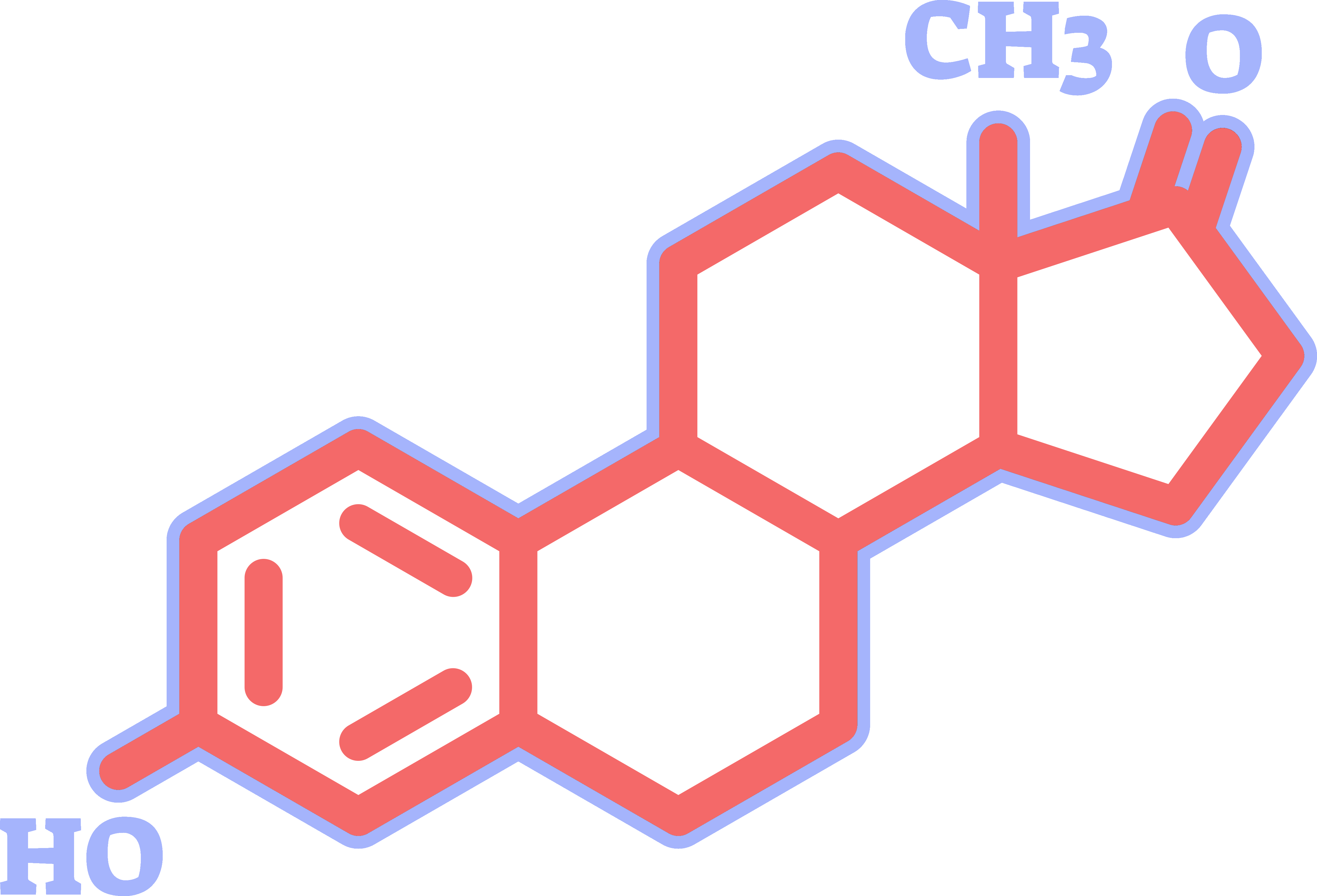 Estrogen molecule structure